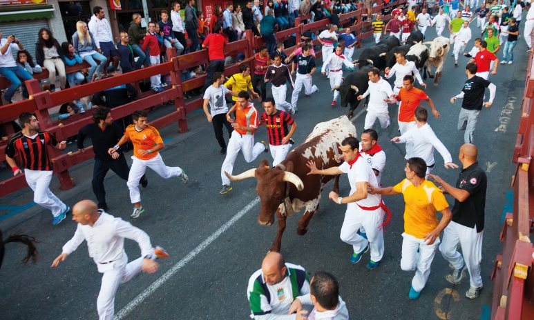 story-20160509114341-Running-with-Bulls_resized_773x464