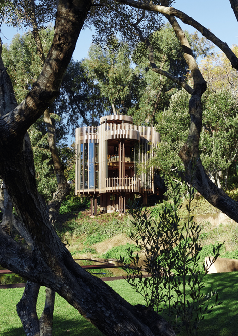 A modern, cabin-like treehouse nestles in South Africa’s beautiful winelands