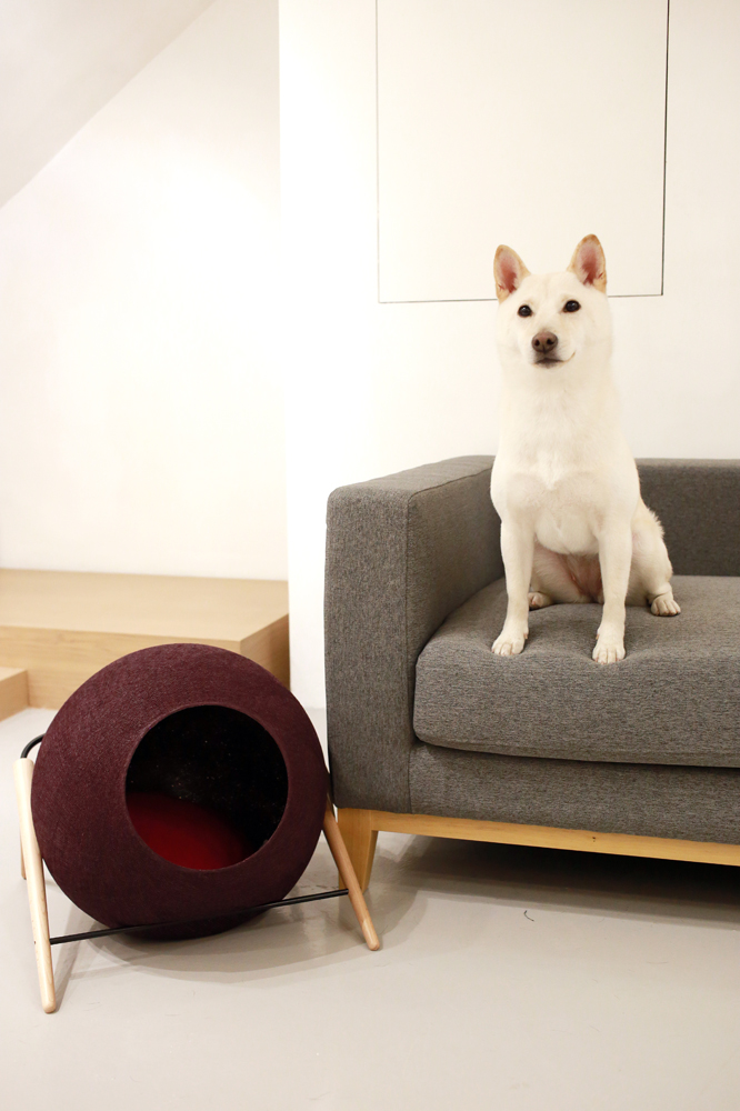 Treat your dog with fine delicacies and chic design pieces