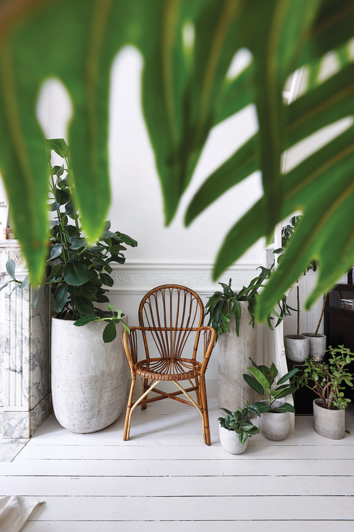 This 450sqft Antwerp apartment is a plant-filled Art Deco haven