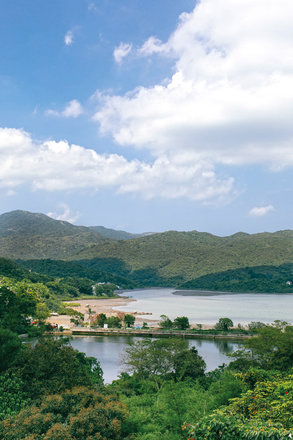 In Sai Kung, a 1,950sqft three-storey abode welcomes nature in abundance