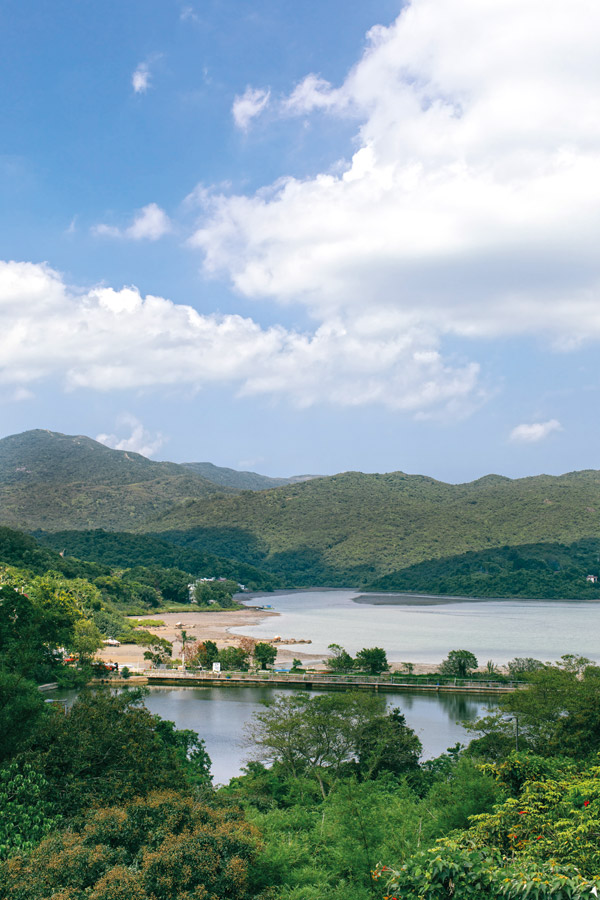 沐浴在大自然中的1,950平方呎西貢三層家居