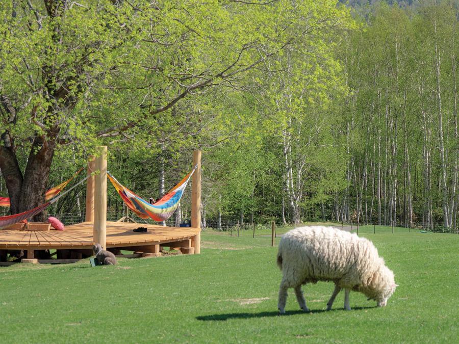 Sapporo’s natural wonders are on full display at the resort