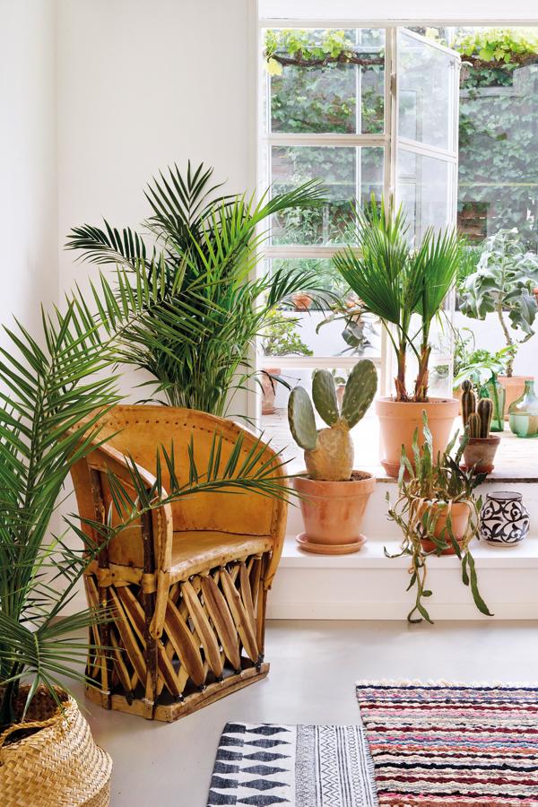 A Guide to Infusing Vibrant Latin Spirit Into Your Home