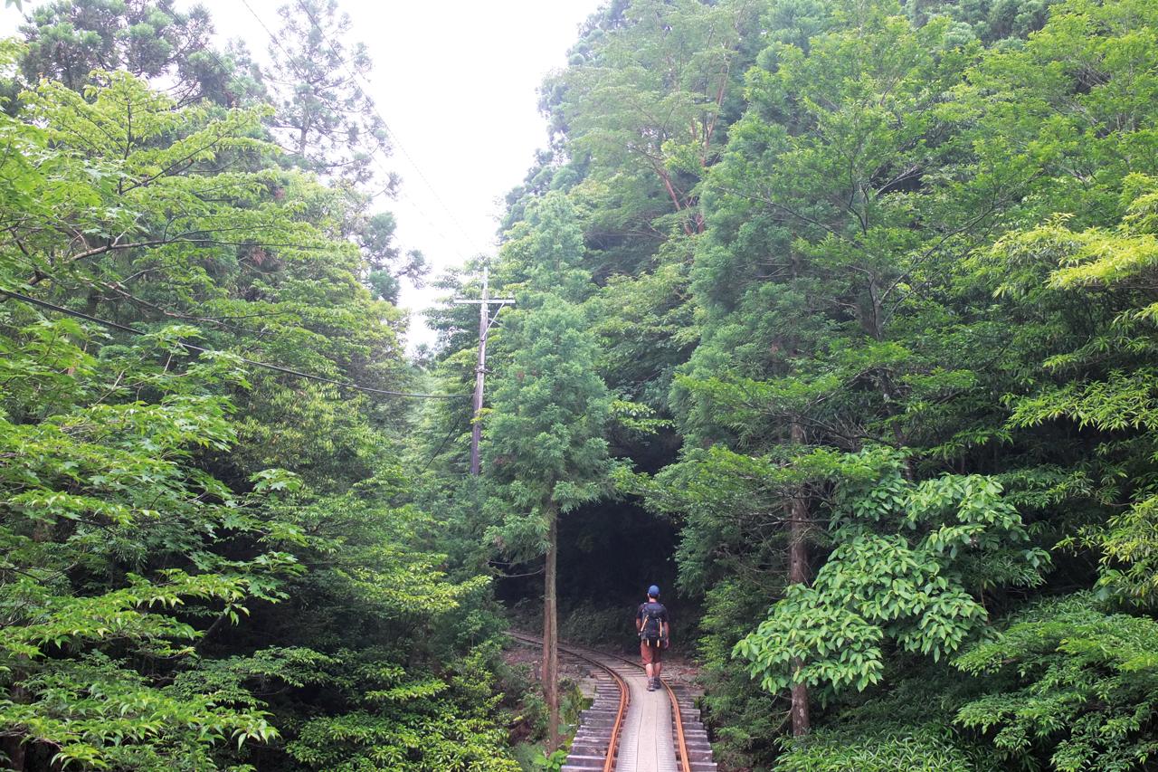 The train tracks reveal the once thriving yakusugi cedar logging trade 