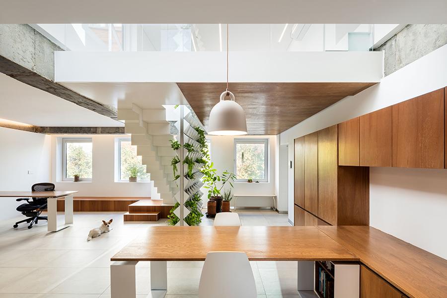 The green wall doubles as a divider for the abode's open-plan lower level. (Photo: Kyungsub Shin)