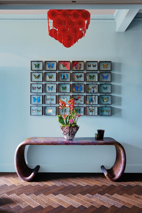 Butterflies shelved in glass frames adorn one side of the living area