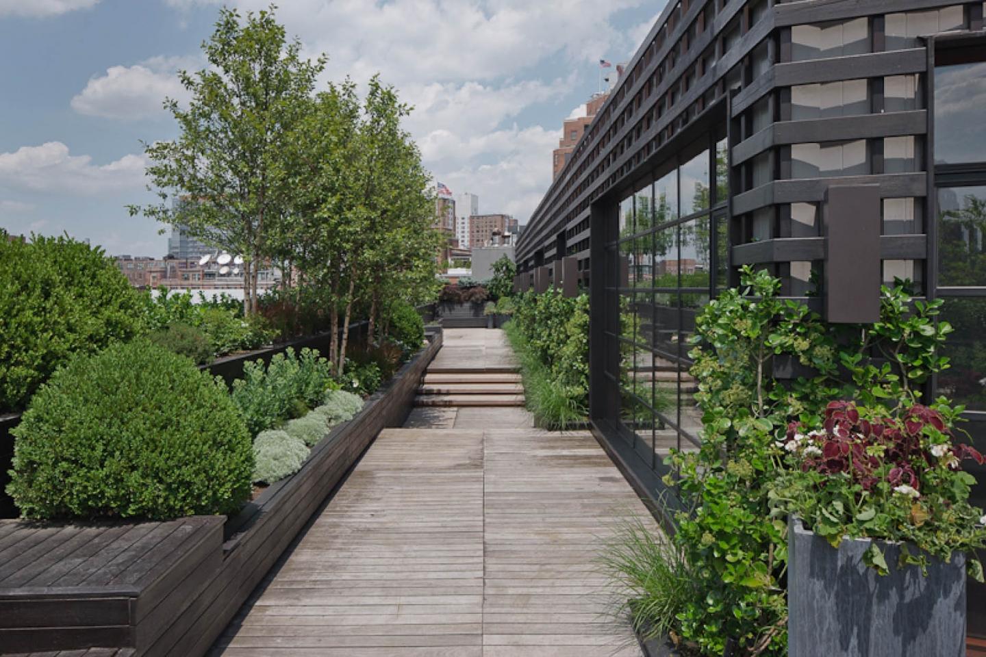 Mario Nievera Shows Us How To Create A Terrace Garden