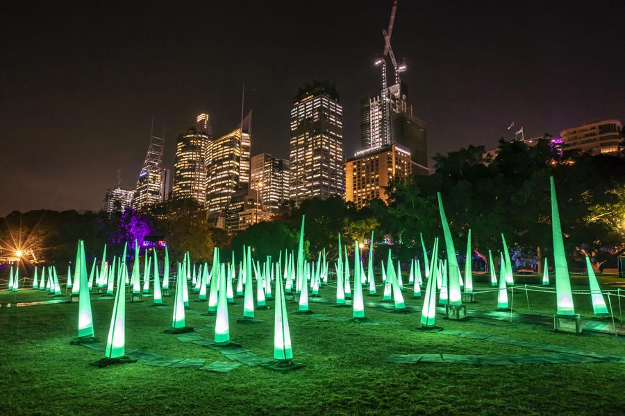 The Dancing Grass light installation at the Royal Botanic Garden Sydney