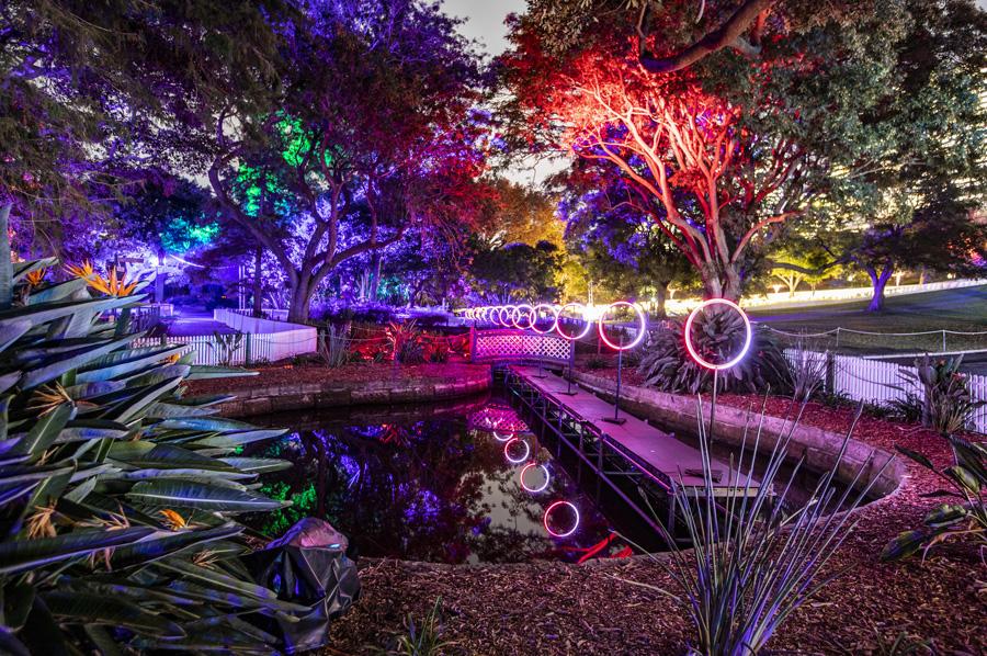 The Circa light installation at the Royal Botanic Garden Sydney