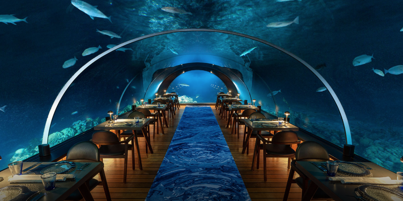 【精選3間水底餐廳】設計精緻有格調 推廣可持續海洋資源