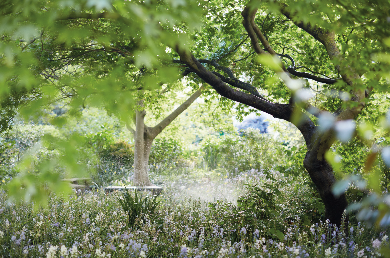 private gardens on Sloane Street