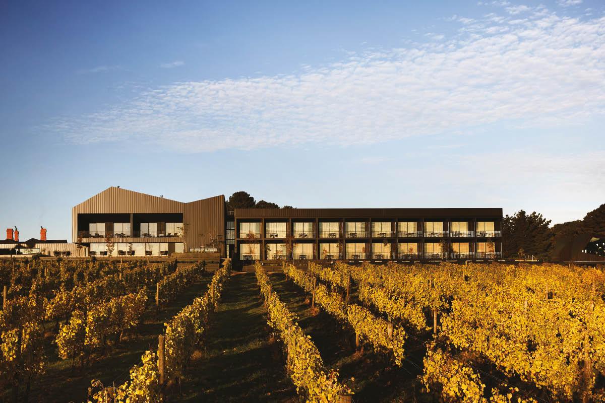 Experience the Vineyard Resort in All its Glory at The Jackalope