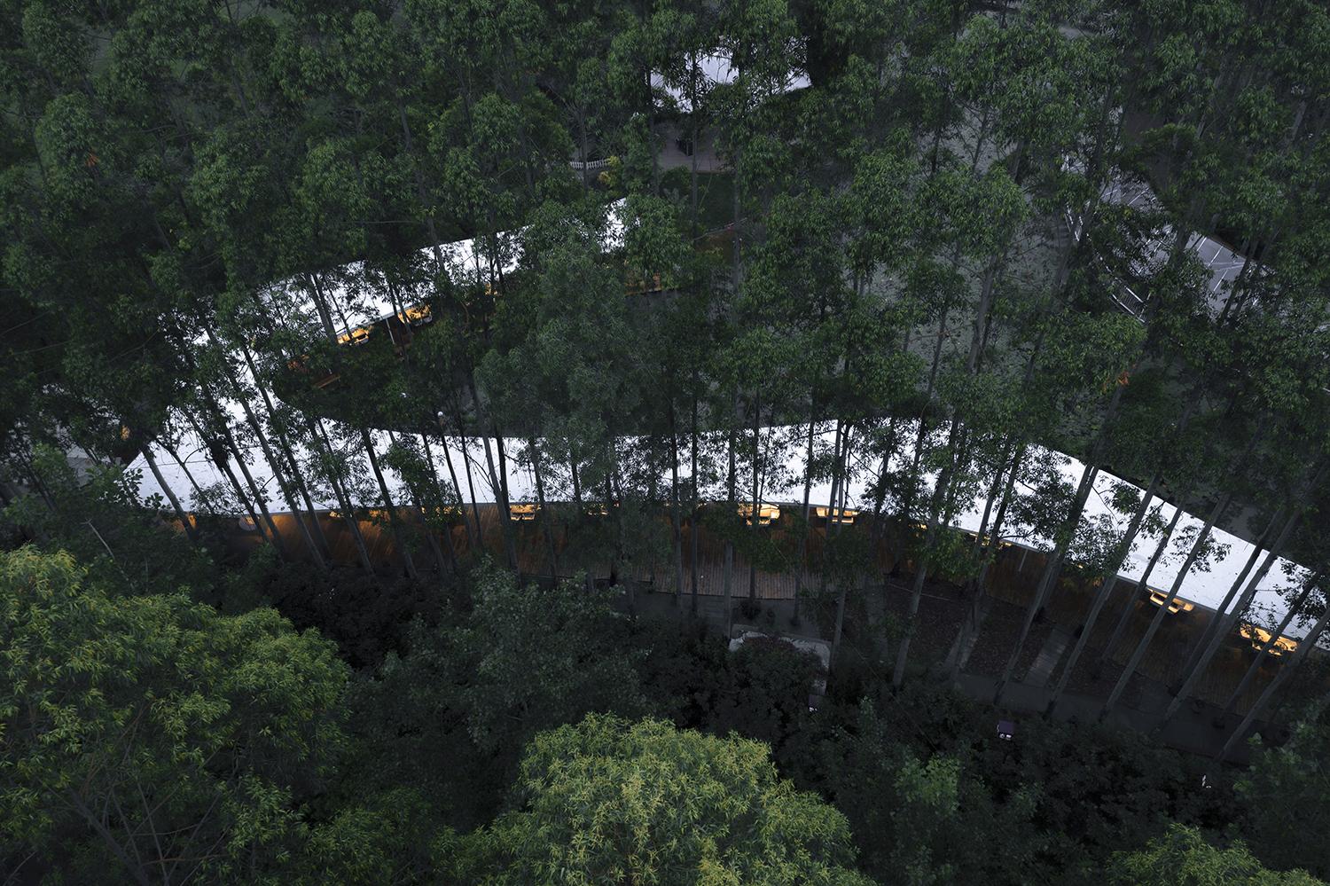 【成都火鍋 x 生態】宛如山水畫的餐廳設計 感受雲霧氤氳 絲帶飄逸的環境