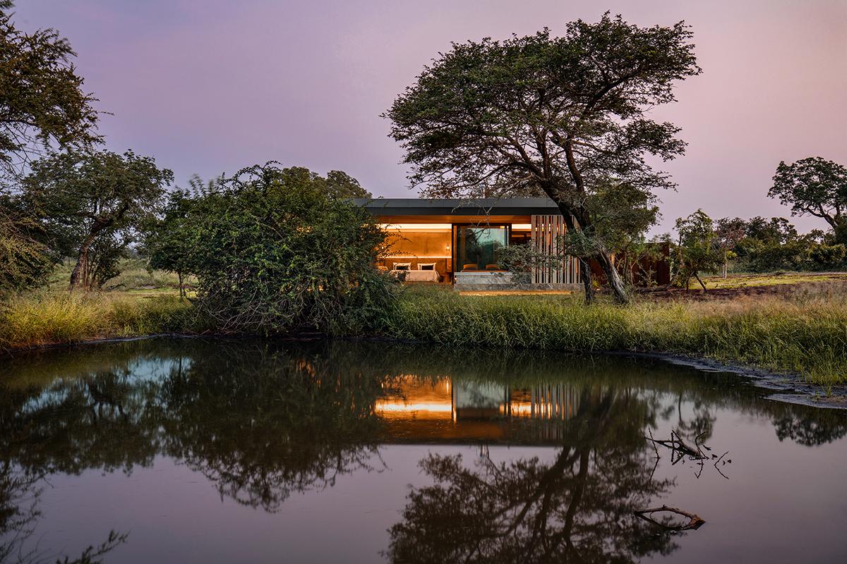 A Modern Luxe Approach to Safari-Style Architecture at Cheetah Plains Game Lodge 