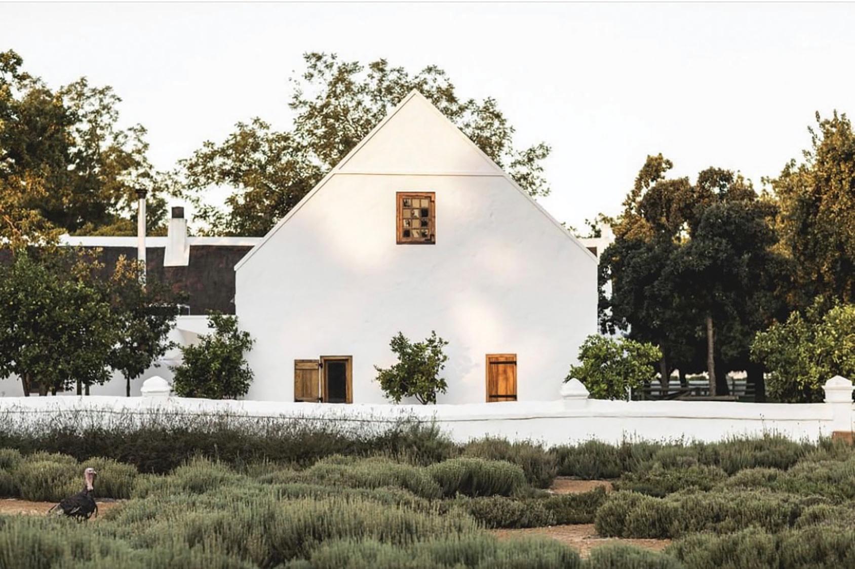 This South African Farm Hotel Is A Dream For Nature and Wine Lovers