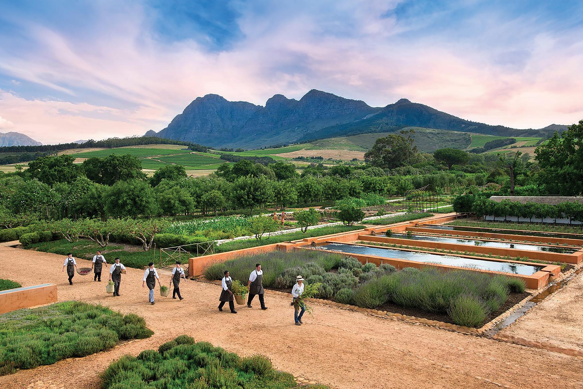 This South African Farm Hotel Is A Dream For Nature and Wine Lovers