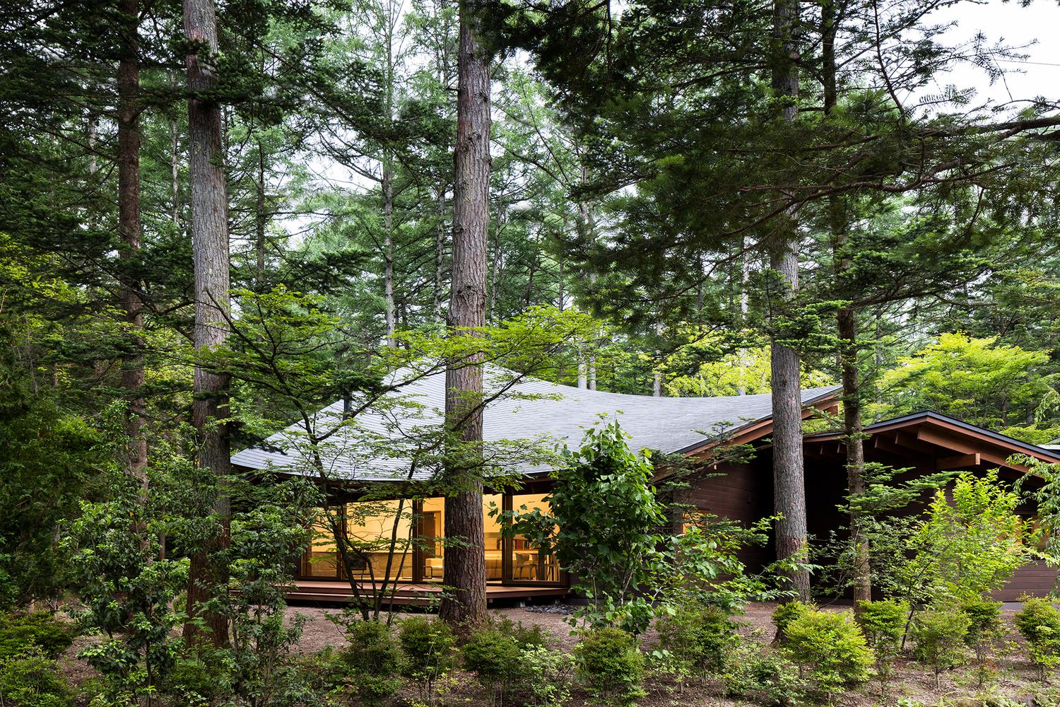 A Curvaceously-Roofed Villa in Karuizawa Melds Into The Landscape