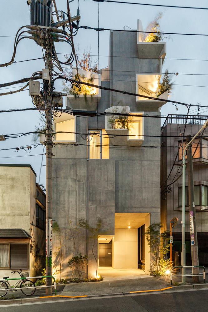 與樹木共存的日本房子 讓人如生活在自然生態一樣