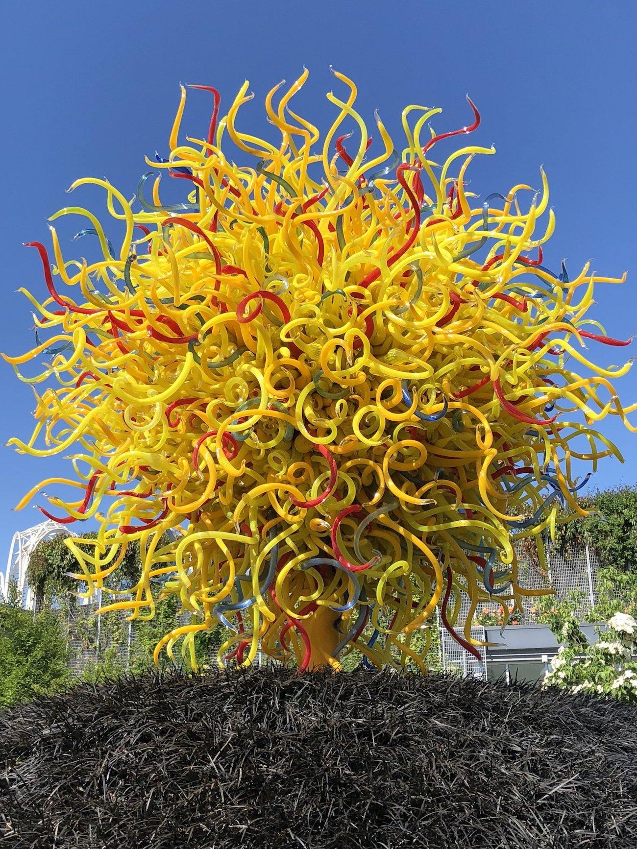 Living Well With Colour: Chihuly...Out Loud!