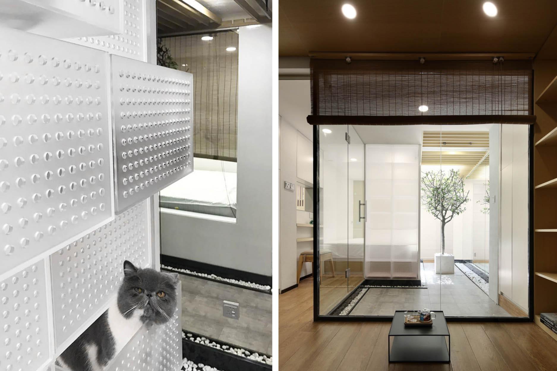 This 330sqft Shanghai Lair is Home to a Couple... and 51 Cats