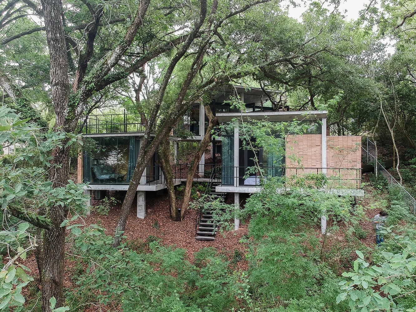 與自然共生的現代玻璃樹屋 遠離塵囂體驗綠意洋溢生活
