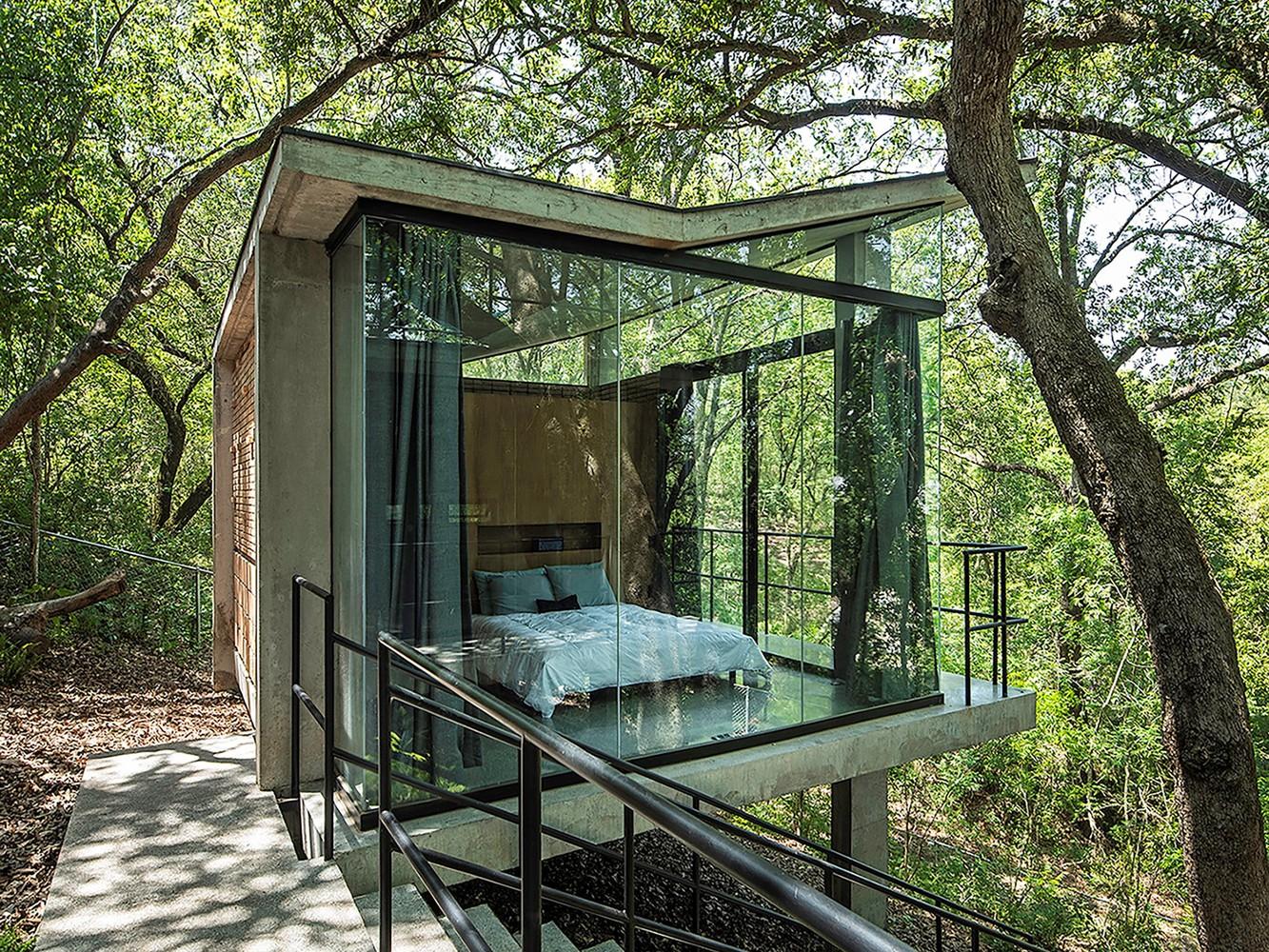 與自然共生的現代玻璃樹屋 遠離塵囂體驗綠意洋溢生活