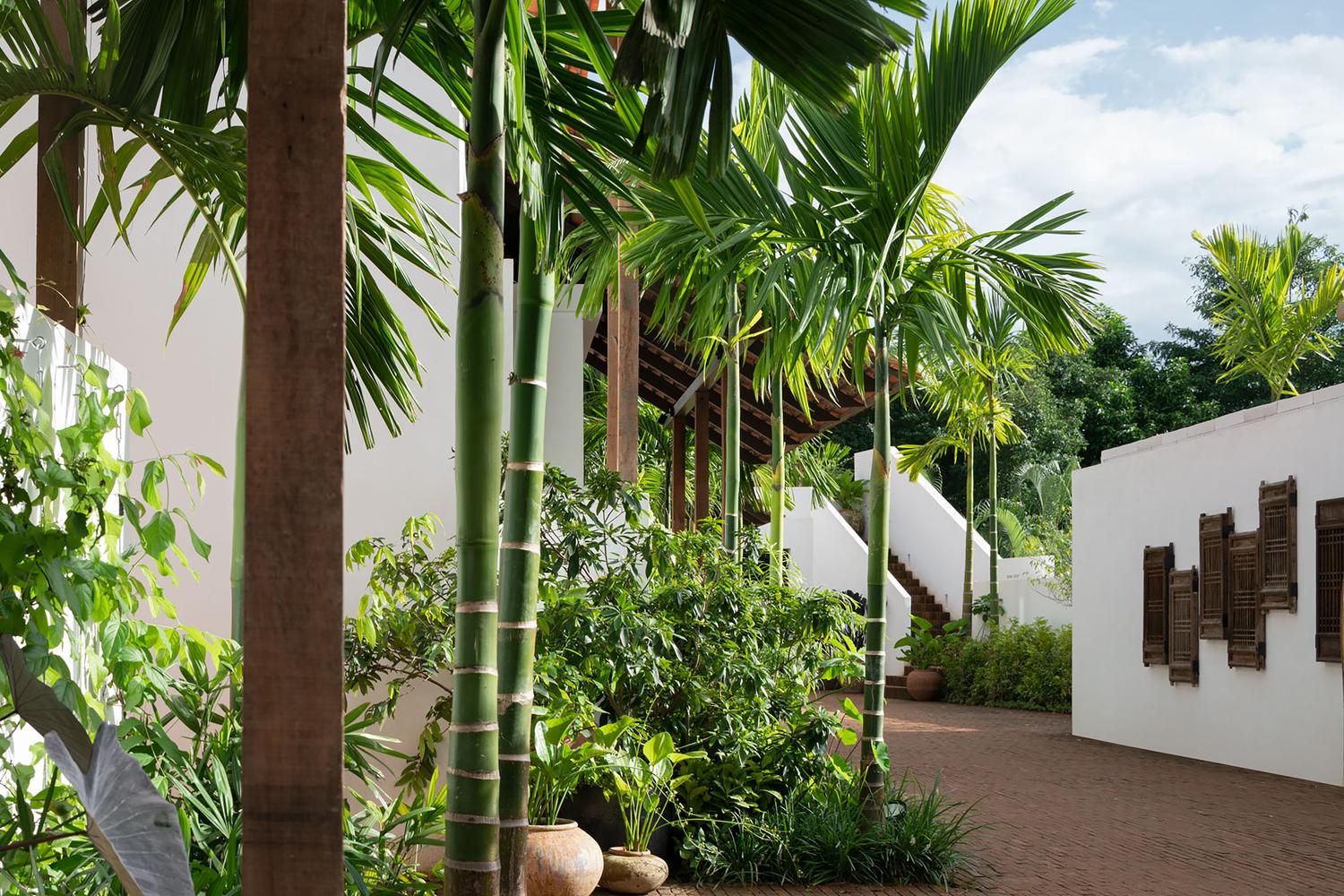 泰國清邁度假別墅推介！簡約奢華酒店設計 放鬆身心親親大自然