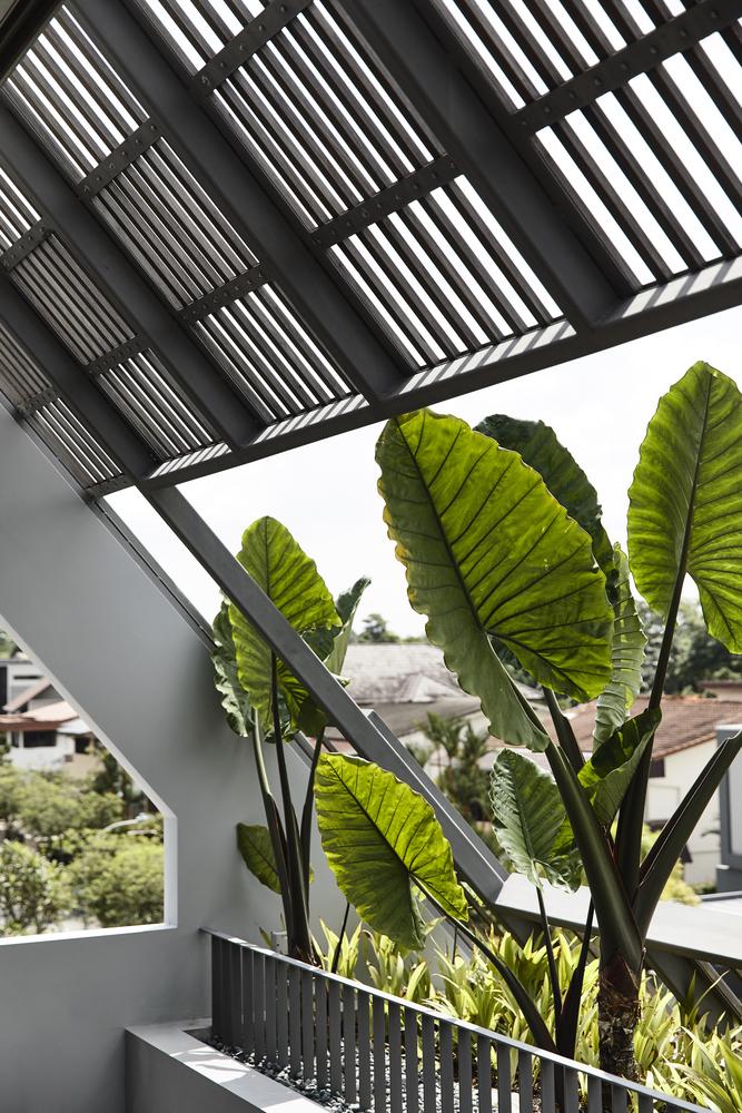 一家五口之寫意家庭樂！與自然共存的新加坡綠色住宅