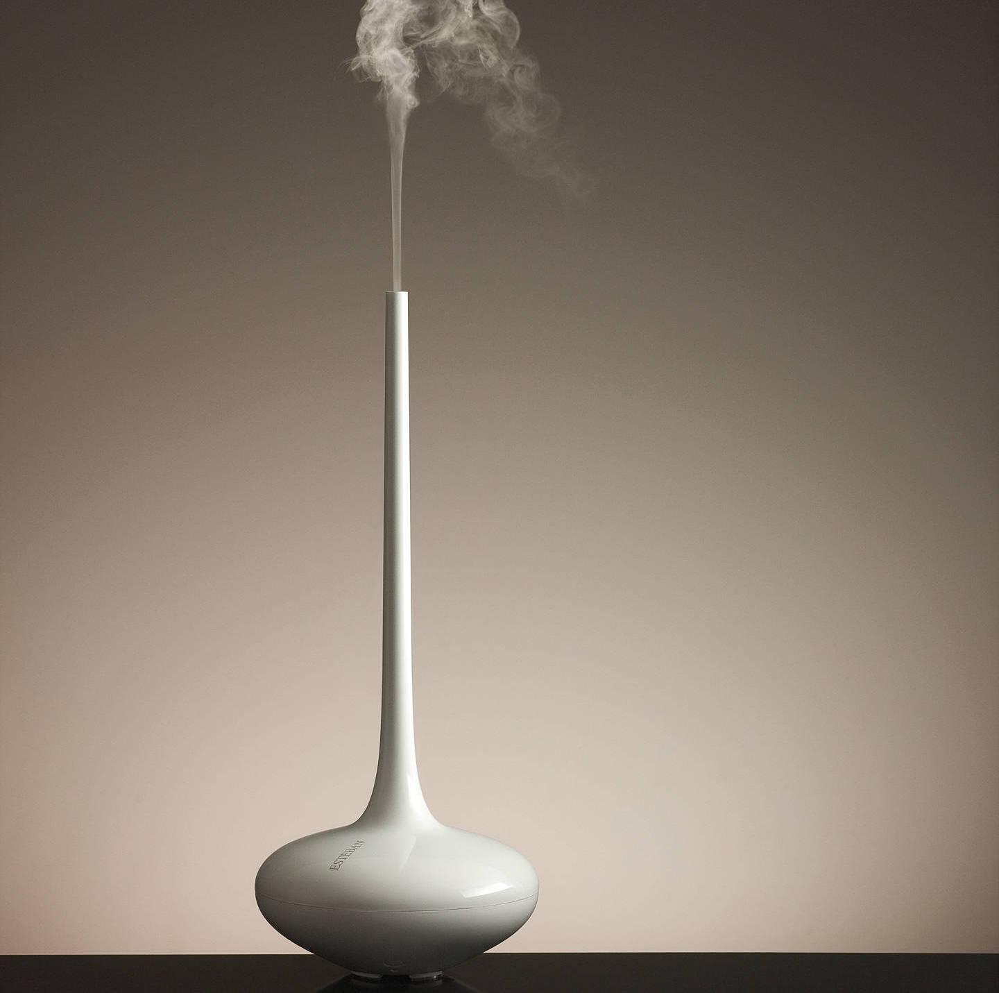 Clean Air in Minutes: 5 Stylish Gadgets To Instantly Purify Your Home