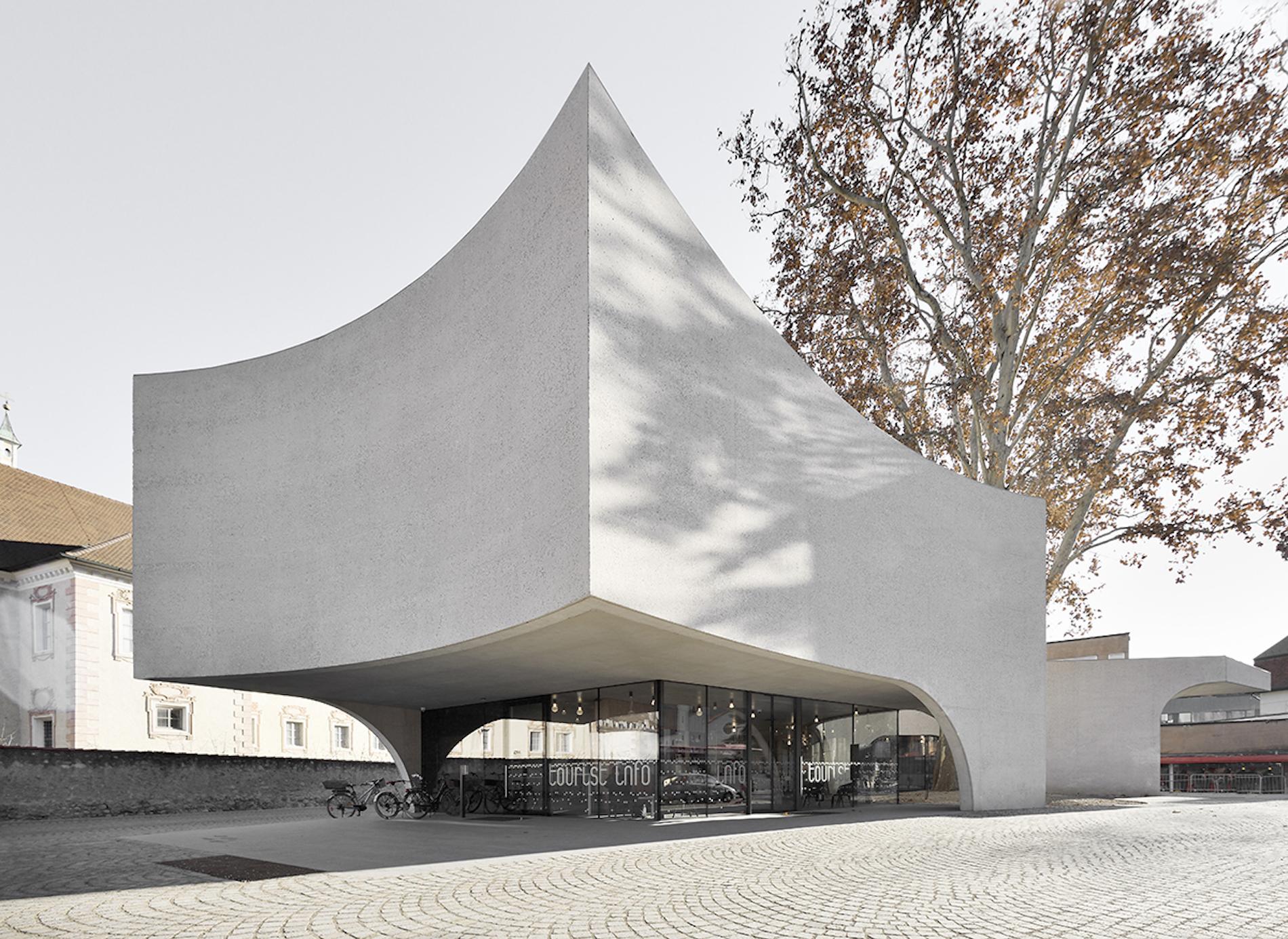 This Sinuous Tourist Office Is Inspired by the Tree it Enwraps