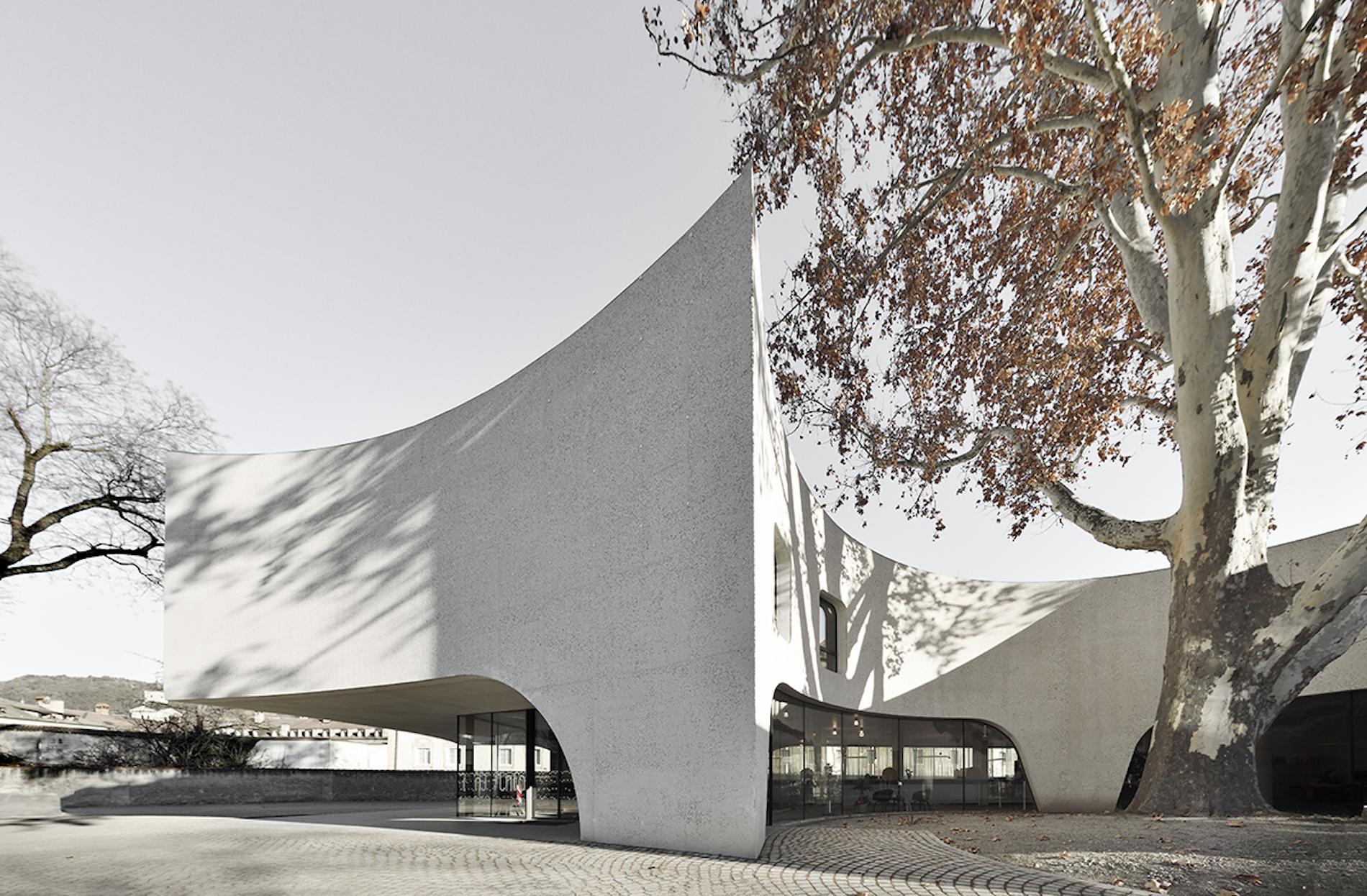 This Sinuous Tourist Office Is Inspired by the Tree it Enwraps