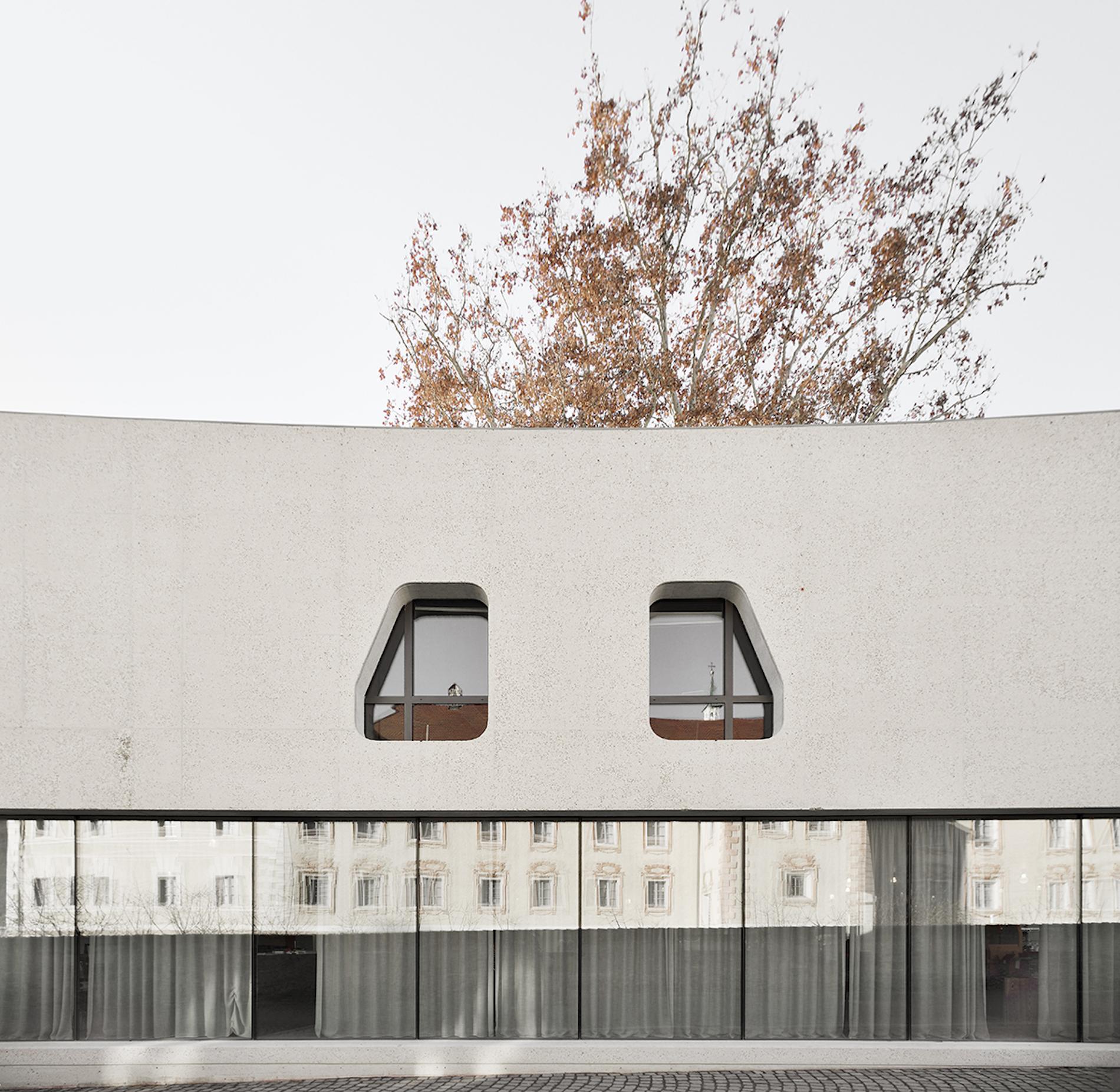 This Sinuous Tourist Office Is Inspired by the Tree it Enwraps