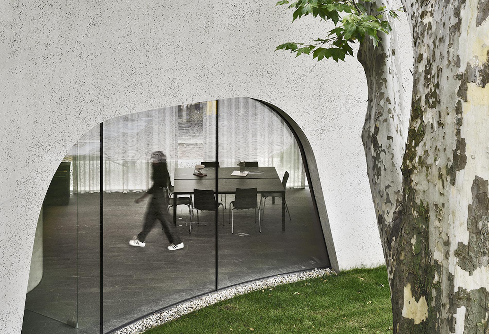 This Sinuous Tourist Office Is Inspired by the Tree it Enwraps