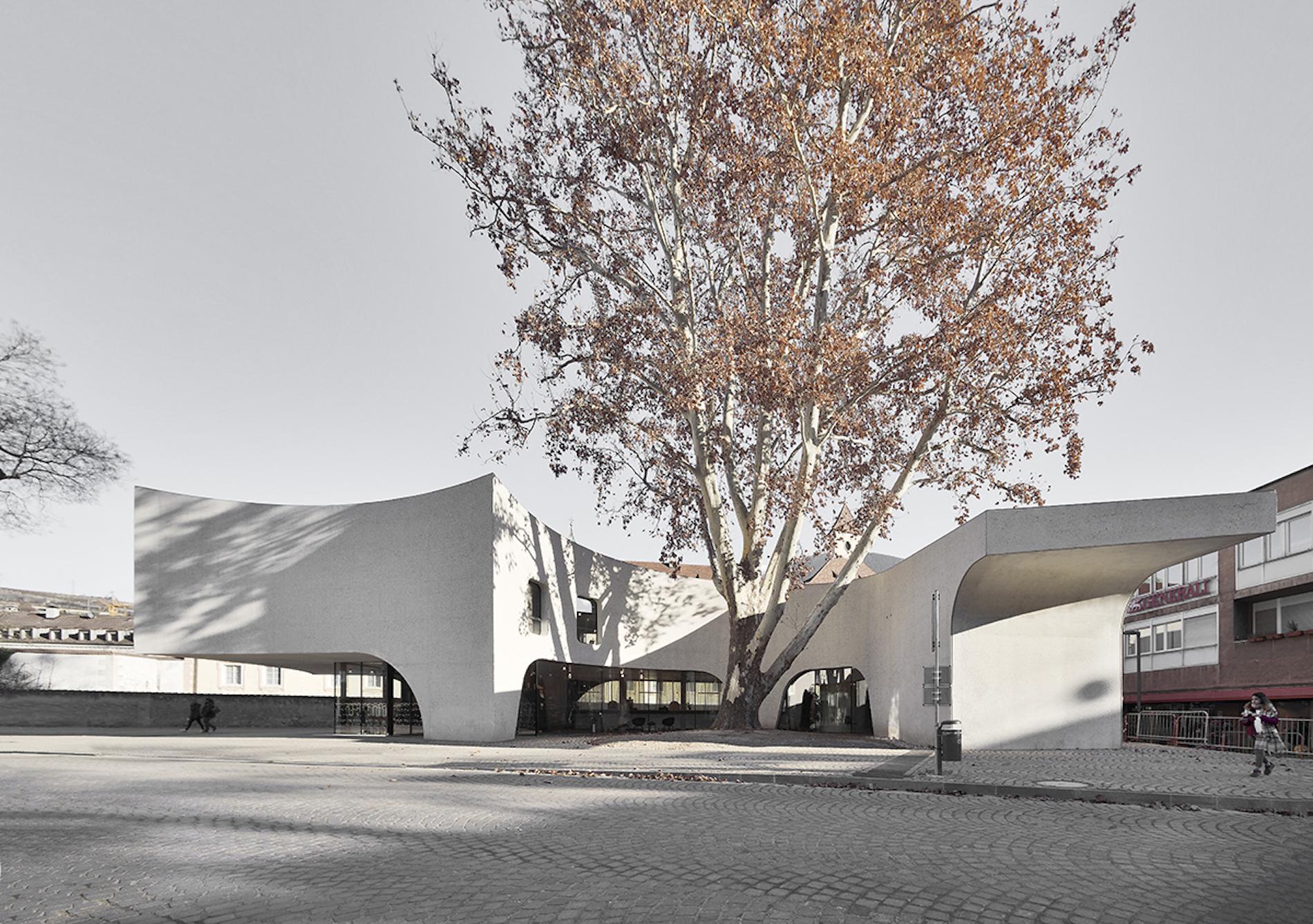 This Sinuous Tourist Office Is Inspired by the Tree it Enwraps