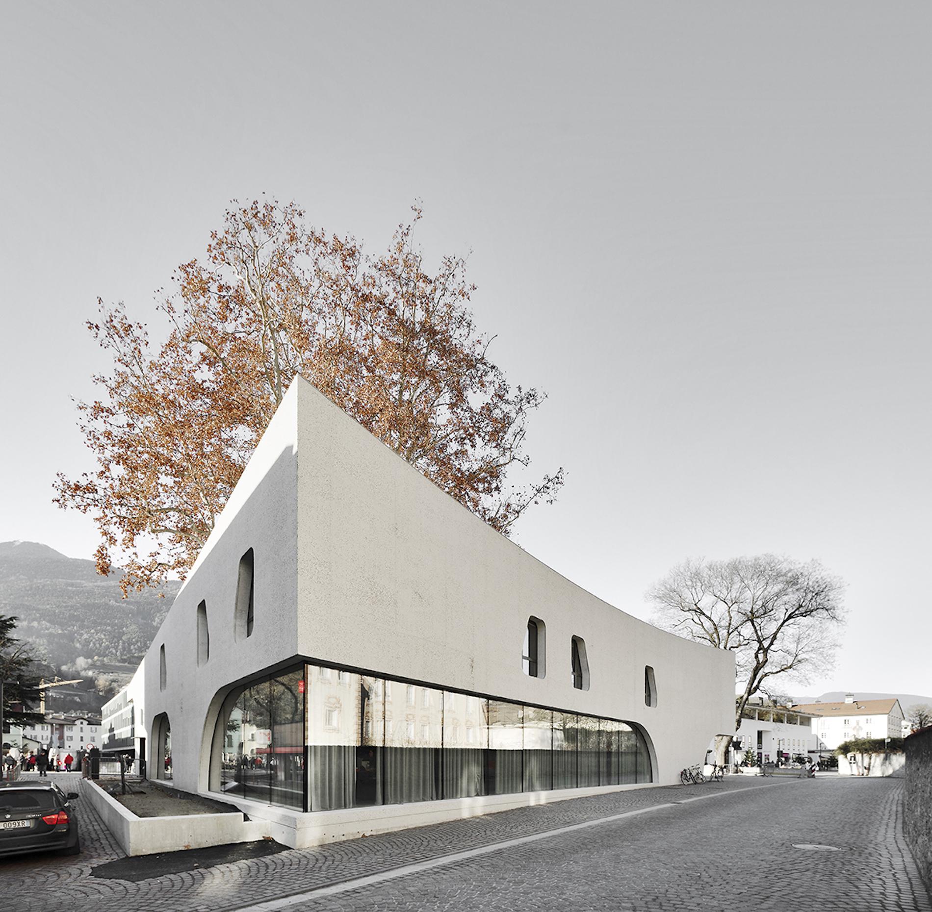 This Sinuous Tourist Office Is Inspired by the Tree it Enwraps