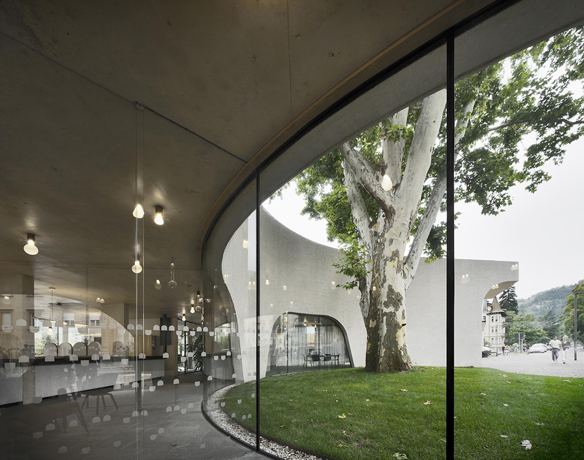 This Sinuous Tourist Office Is Inspired by the Tree it Enwraps