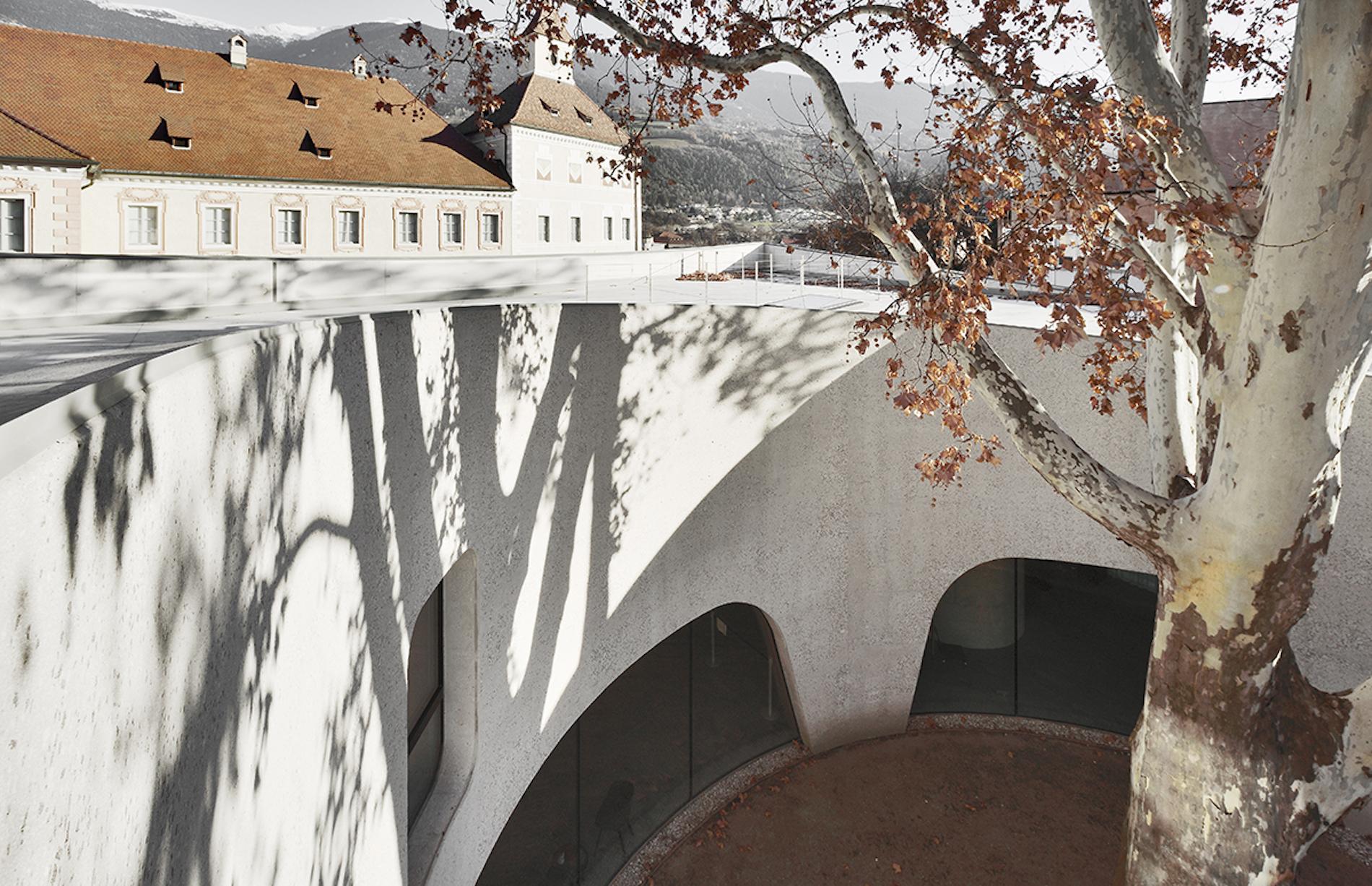 This Sinuous Tourist Office Is Inspired by the Tree it Enwraps