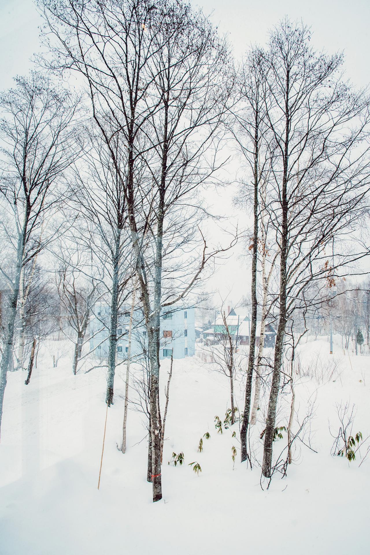 Houses of Hygge: Savour the Art of Slow Living at Koa Niseko