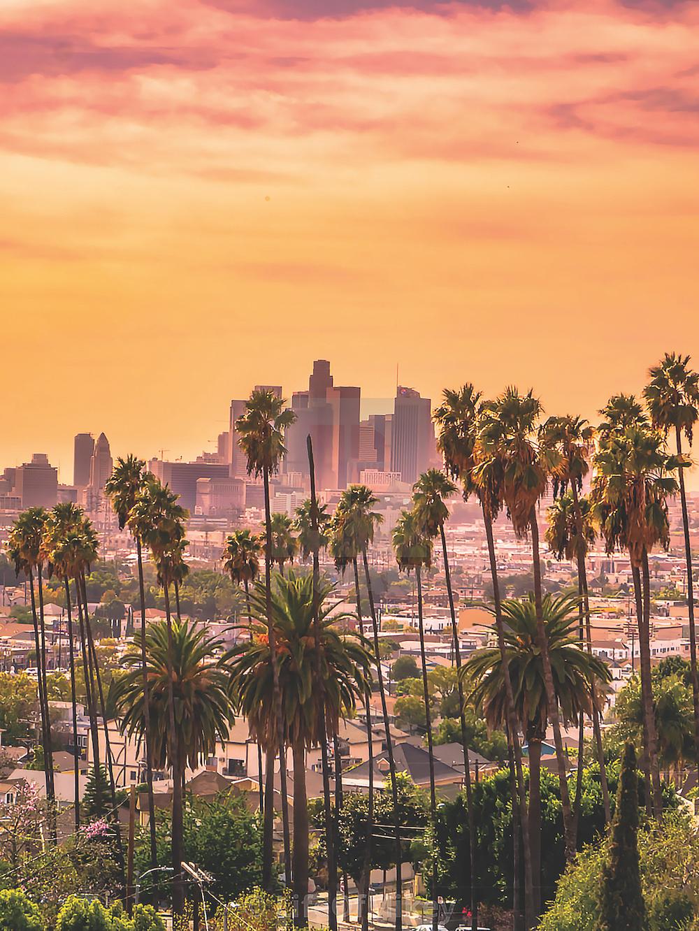 不一樣的洛杉磯：透過藝術重生的城市風光