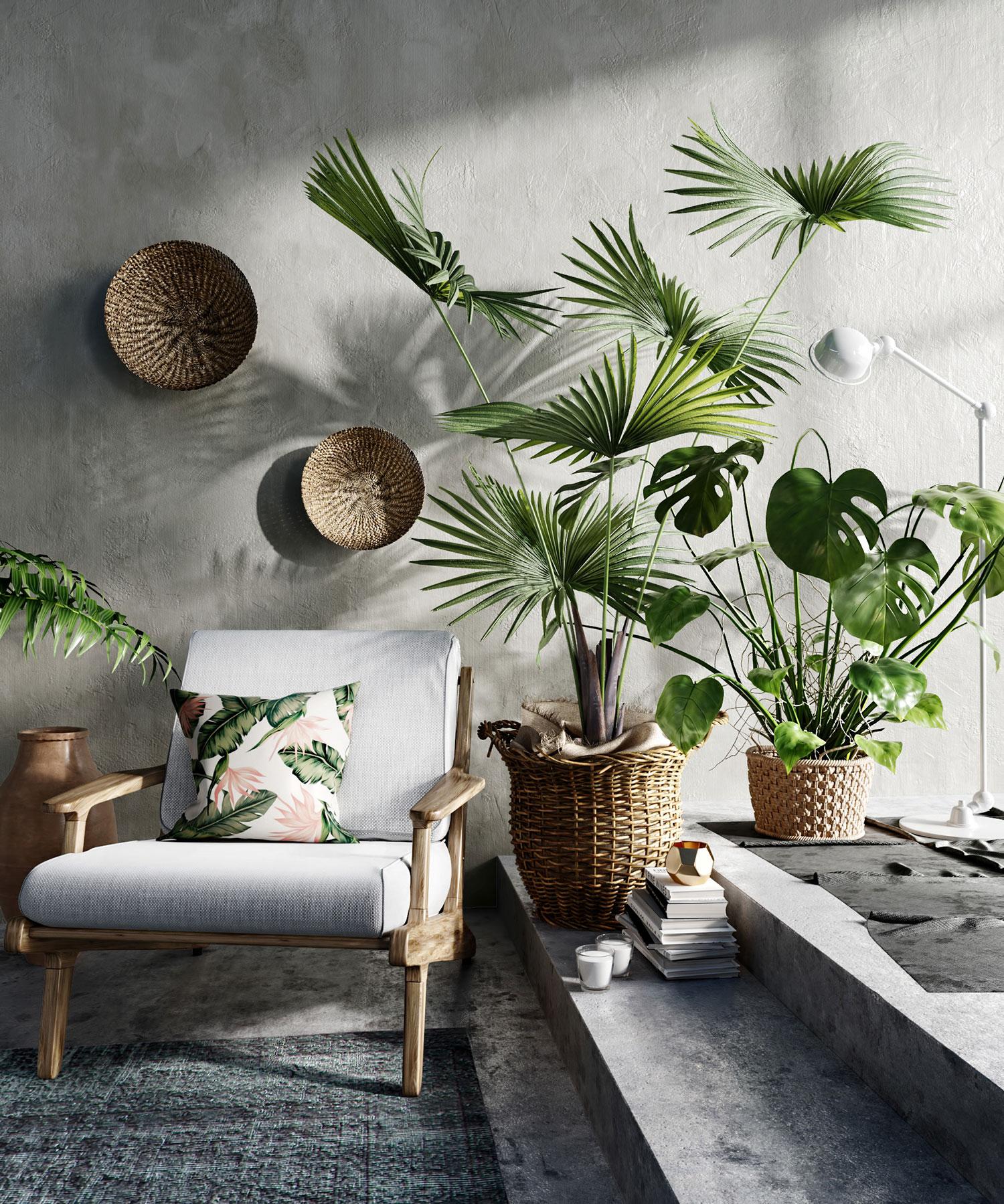 4 Gorgeous House Plant Ideas to Brighten Up Your Rooms