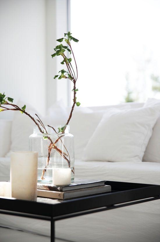 4 Gorgeous House Plant Ideas to Brighten Up Your Rooms