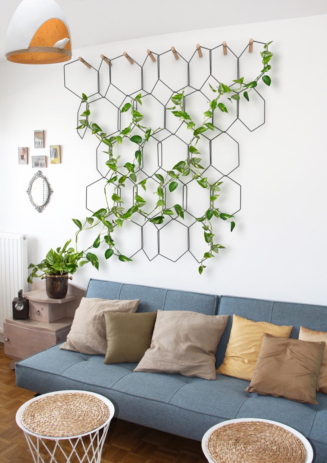 4 Gorgeous House Plant Ideas to Brighten Up Your Rooms