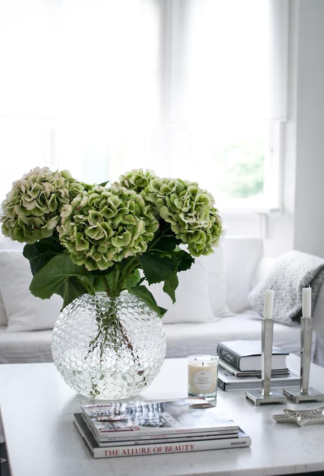 4 Gorgeous House Plant Ideas to Brighten Up Your Rooms