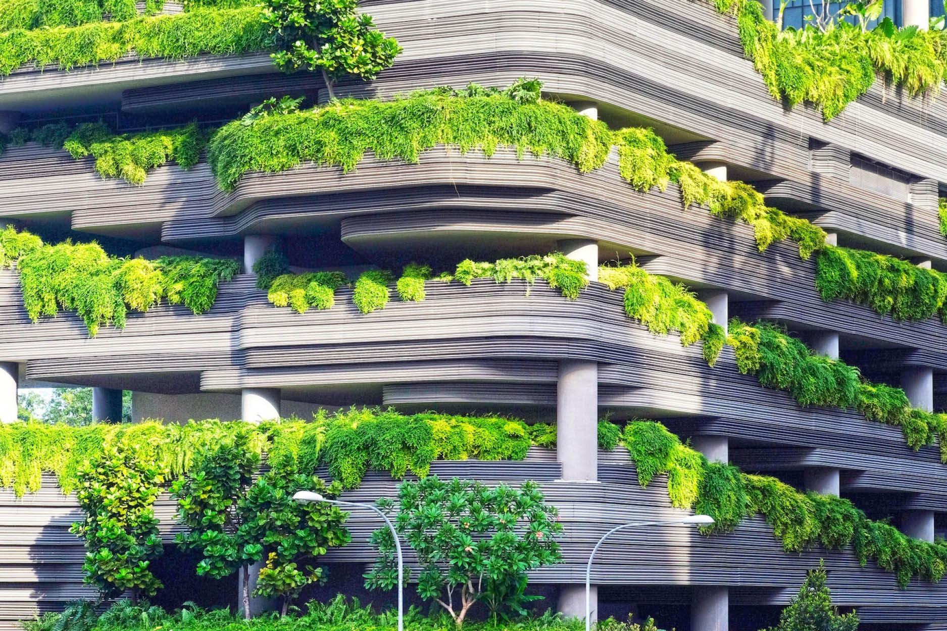 Greening Hong Kong for a Brave New World