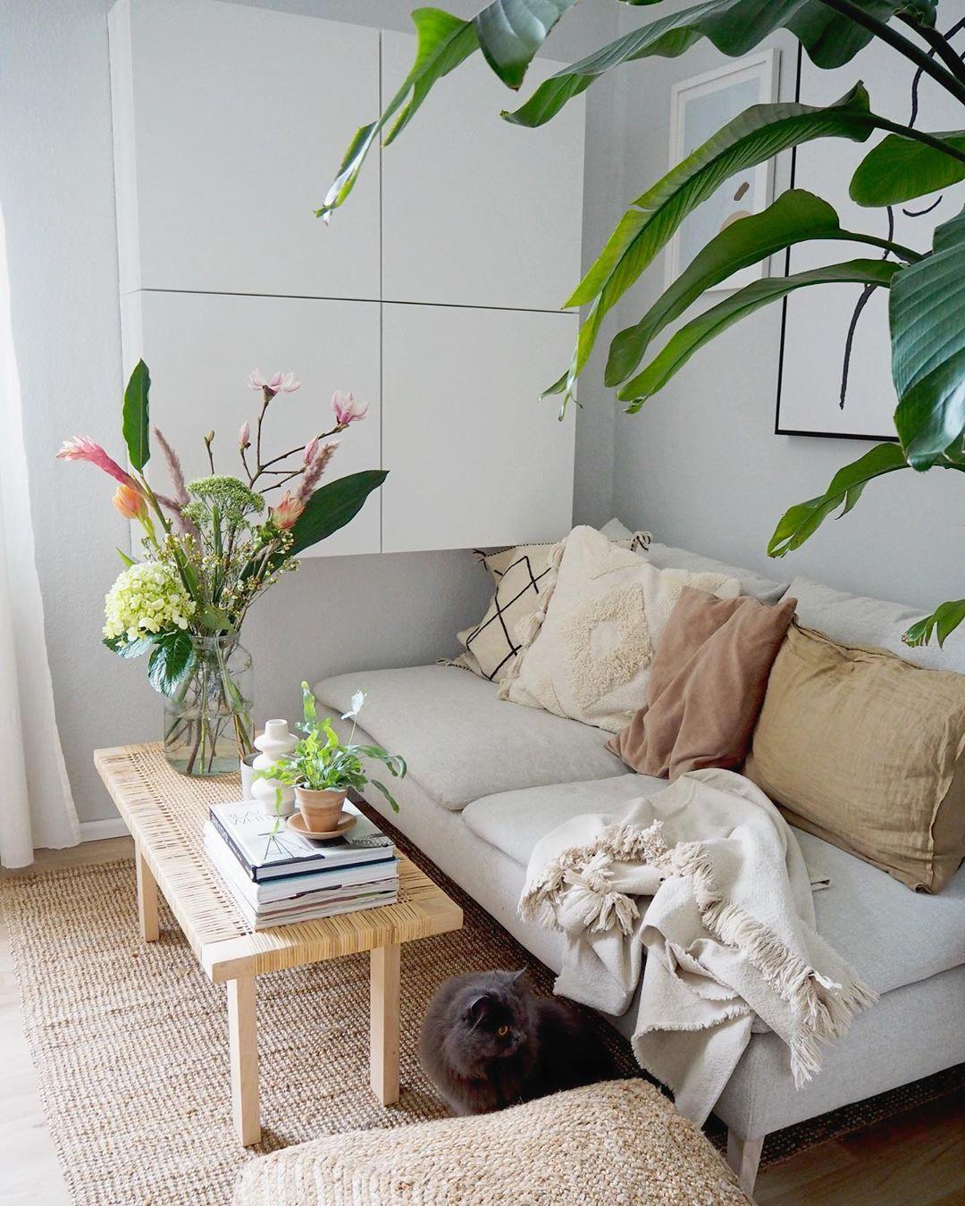 3 Ways to Brighten Up Small Spaces with Natural Elements