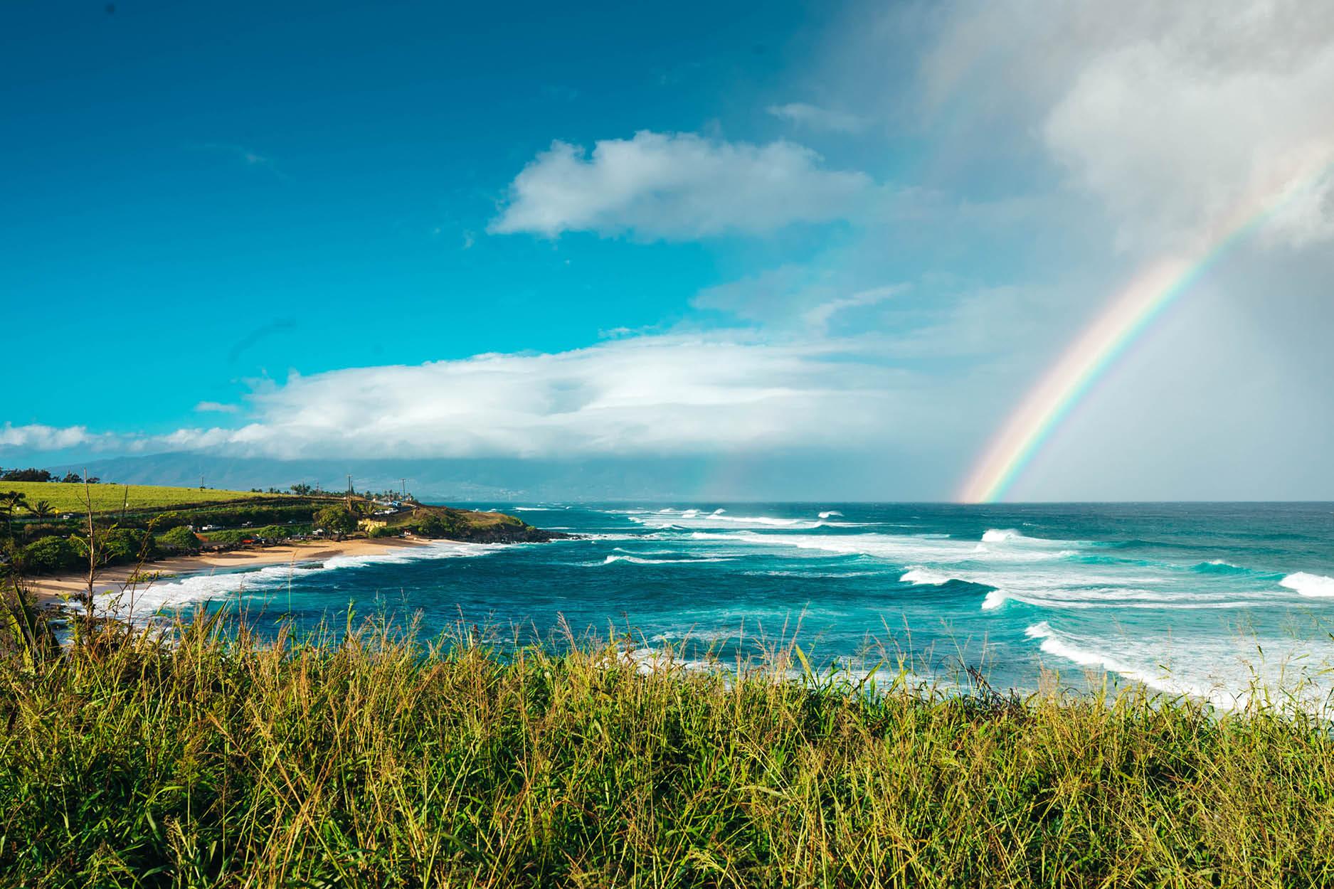 The Many Reasons Why Maui Rocks 