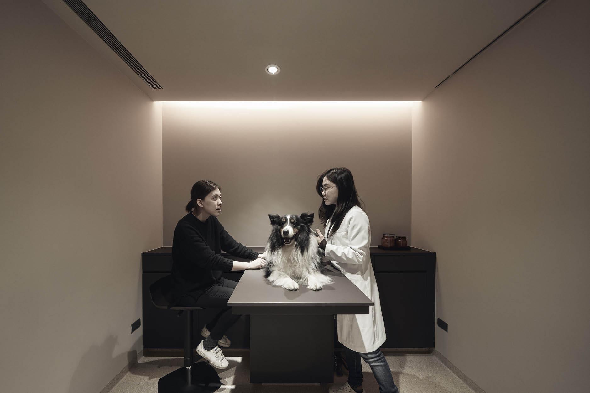 Uncover a World of Tranquillity Within an Evocative Animal Hospital in Taipei