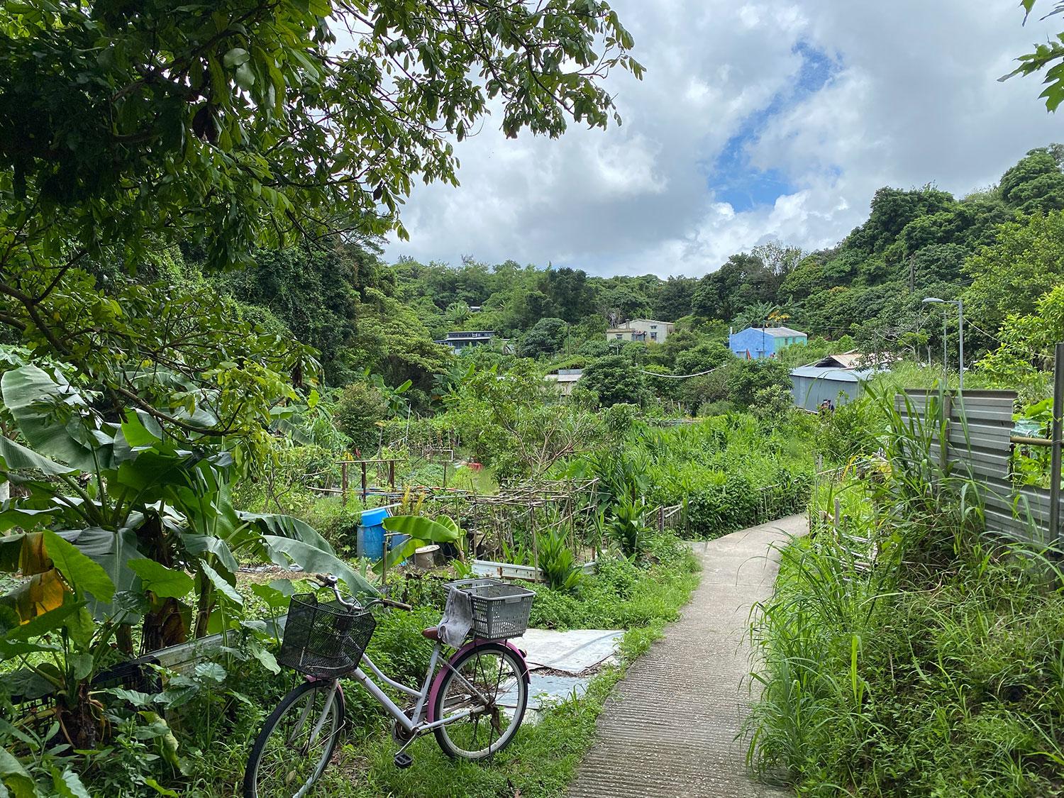 Feast for the Senses: Island Hopping In Hong Kong 