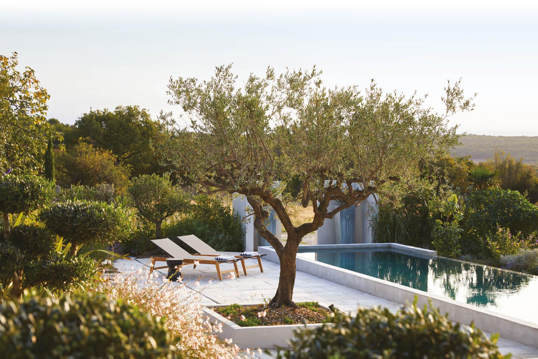 Step Inside a Designer Couple's Poetic Home in Provence